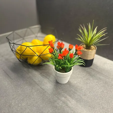 3 Bedroom Cozy In Joan Austria Barcelona