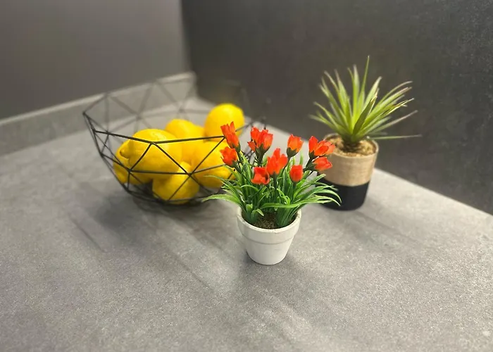 3 Bedroom Cozy In Joan Austria Barcelona